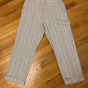 Womens Sienna Sky Cropped Trousers Large